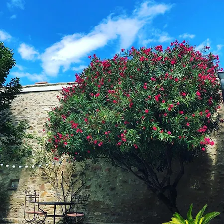 Bed & Breakfast Maison Des Bourgades Saint-Julien-de-Peyrolas